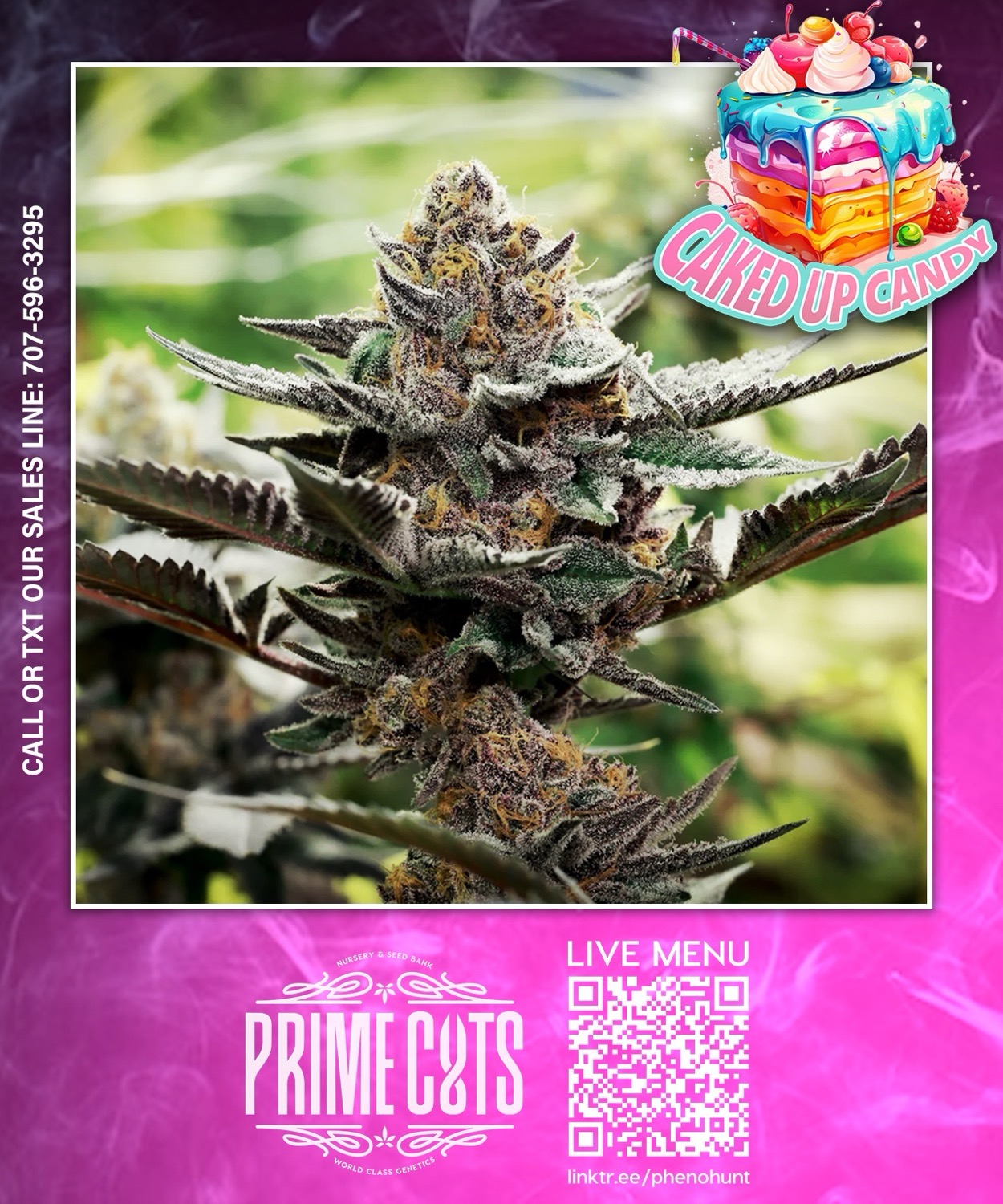 Caked Up Candy Graphic.png
