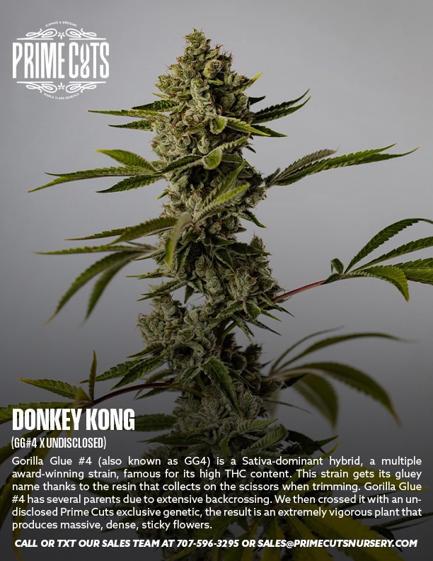 Donkey Kong Clones