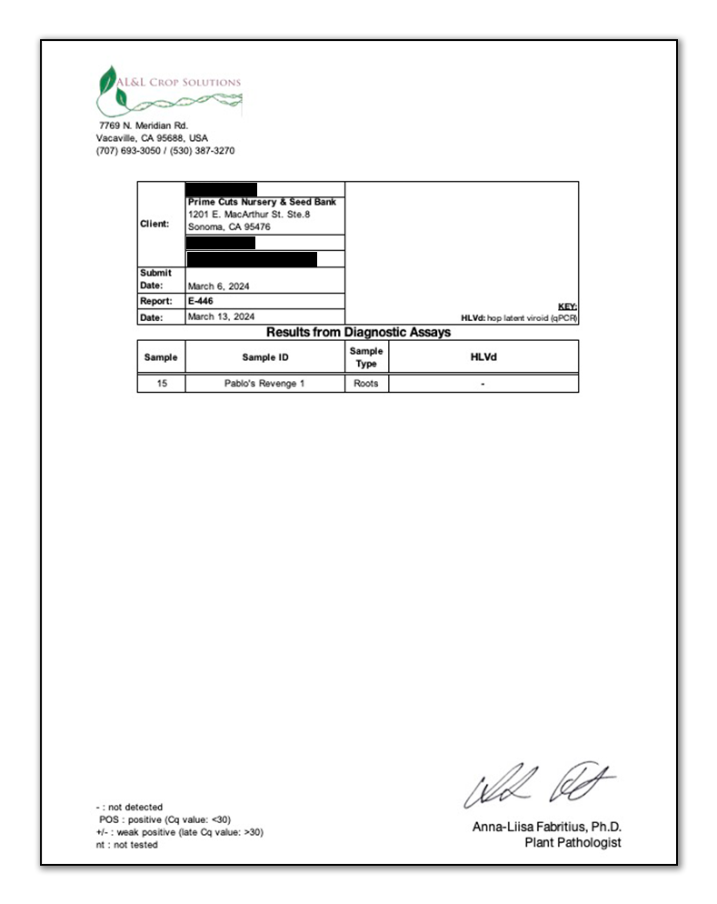 Clean Pablo's Revenge Lab Test