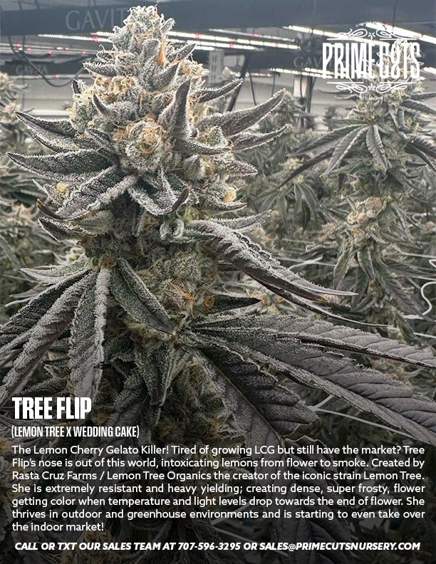 Tree Flip Clones