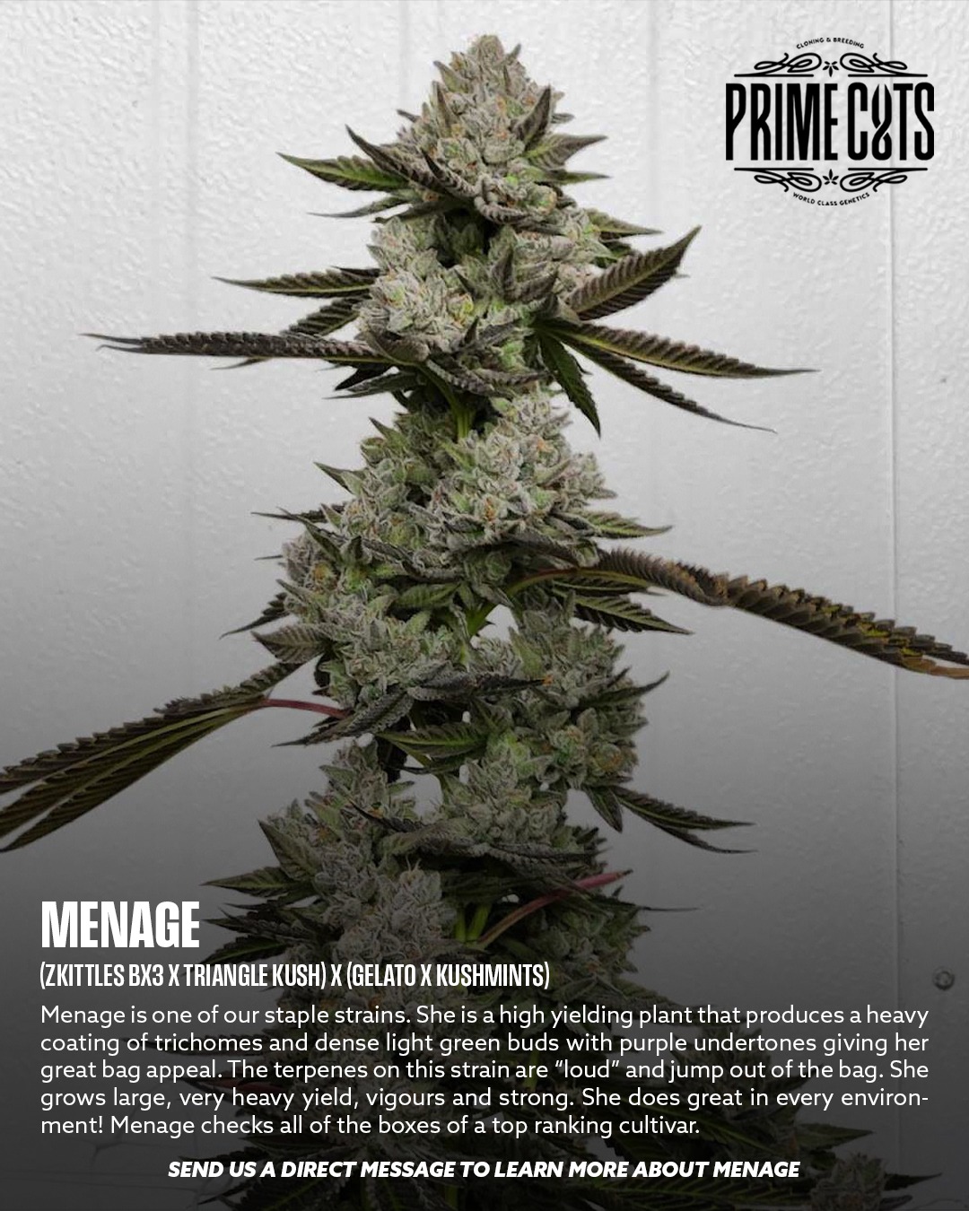 Menage