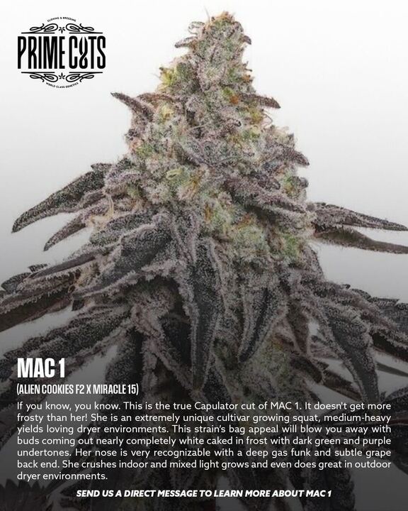 MAC 1