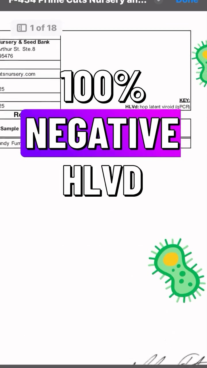 Hlvd prevention is one of our top priorities
