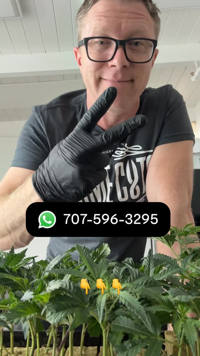 Attention: Licensed farms and facilities in California